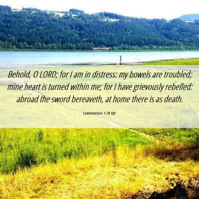 Picture 06 - Lamentations 1:20 KJV - Behold, O LORD; for I am in distress: my bowels - Bible Verse Picture