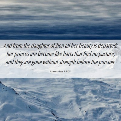Picture 06 - Lamentations 1:6 KJV - And from the daughter of Zion all her beauty is - Bible Verse Picture