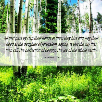 Picture 06 - Lamentations 2:15 KJV - All that pass by clap their hands at thee; they - Bible Verse Picture