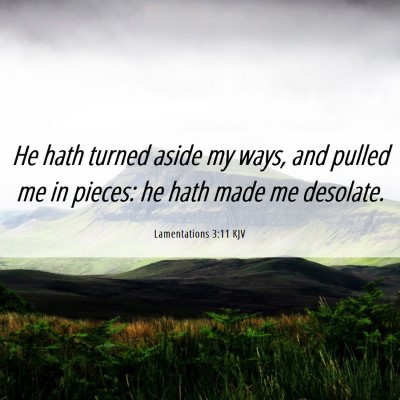 Picture 06 - Lamentations 3:11 KJV - He hath turned aside my ways, and pulled me in - Bible Verse Picture