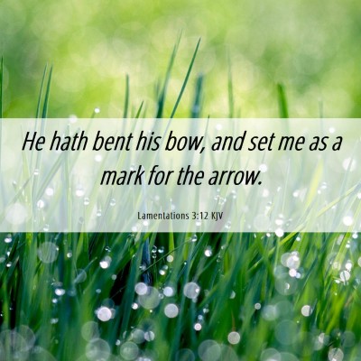 Picture 06 - Lamentations 3:12 KJV - He hath bent his bow, and set me as a mark for - Bible Verse Picture