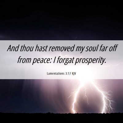 Picture 06 - Lamentations 3:17 KJV - And thou hast removed my soul far off from peace: - Bible Verse Picture