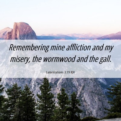 Picture 06 - Lamentations 3:19 KJV - Remembering mine affliction and my misery, the - Bible Verse Picture