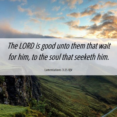Picture 06 - Lamentations 3:25 KJV - The LORD is good unto them that wait for him, to - Bible Verse Picture