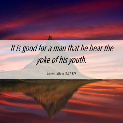 Picture 06 - Lamentations 3:27 KJV - It is good for a man that he bear the yoke of his - Bible Verse Picture