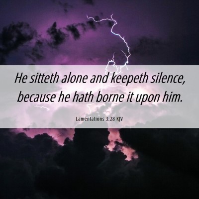 Picture 06 - Lamentations 3:28 KJV - He sitteth alone and keepeth silence, because he - Bible Verse Picture