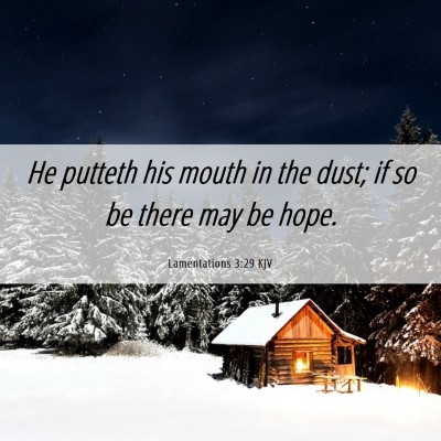 Picture 06 - Lamentations 3:29 KJV - He putteth his mouth in the dust; if so be there - Bible Verse Picture