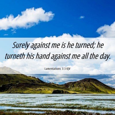 Picture 06 - Lamentations 3:3 KJV - Surely against me is he turned; he turneth his - Bible Verse Picture