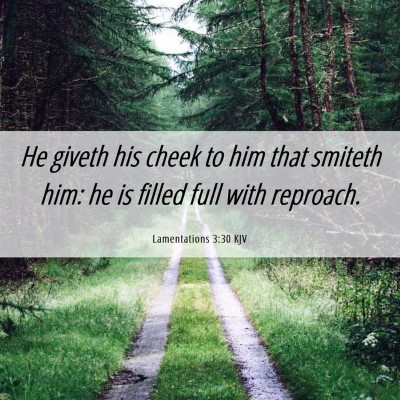 Picture 06 - Lamentations 3:30 KJV - He giveth his cheek to him that smiteth him: he - Bible Verse Picture