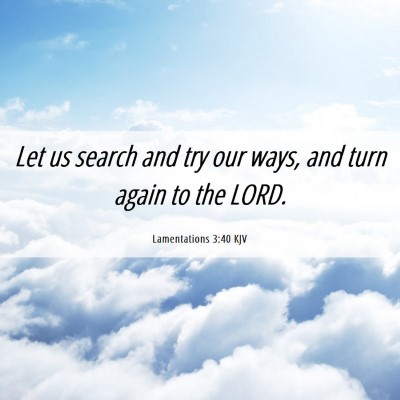 Picture 06 - Lamentations 3:40 KJV - Let us search and try our ways, and turn again to - Bible Verse Picture
