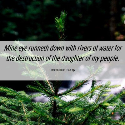 Picture 06 - Lamentations 3:48 KJV - Mine eye runneth down with rivers of water for - Bible Verse Picture