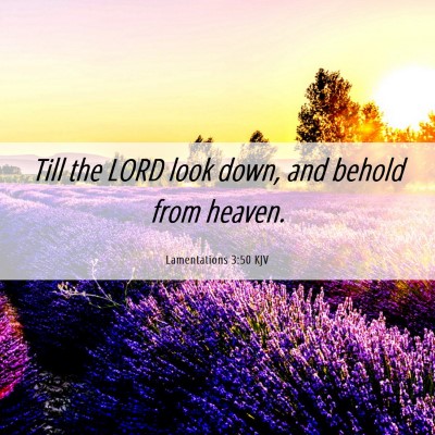 Picture 06 - Lamentations 3:50 KJV - Till the LORD look down, and behold from - Bible Verse Picture