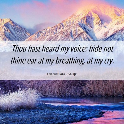 Picture 06 - Lamentations 3:56 KJV - Thou hast heard my voice: hide not thine ear at - Bible Verse Picture