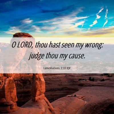 Picture 06 - Lamentations 3:59 KJV - O LORD, thou hast seen my wrong: judge thou my - Bible Verse Picture