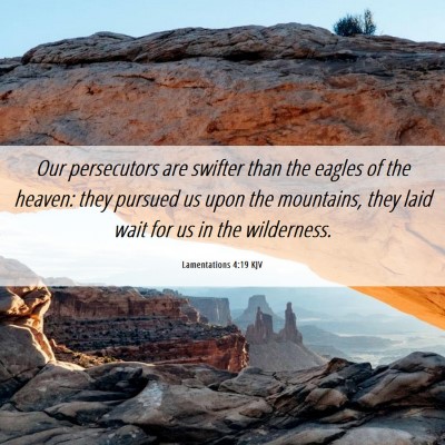 Picture 06 - Lamentations 4:19 KJV - Our persecutors are swifter than the eagles of - Bible Verse Picture