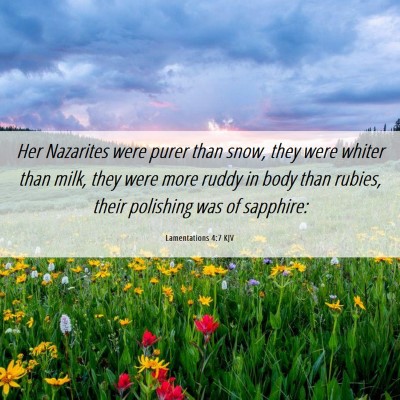 Picture 06 - Lamentations 4:7 KJV - Her Nazarites were purer than snow, they were - Bible Verse Picture