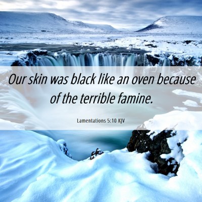 Picture 06 - Lamentations 5:10 KJV - Our skin was black like an oven because of the - Bible Verse Picture