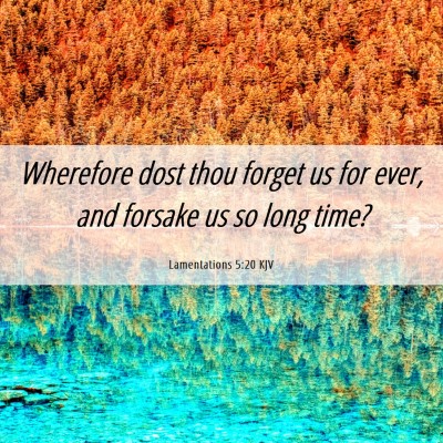 Picture 06 - Lamentations 5:20 KJV - Wherefore dost thou forget us for ever, and - Bible Verse Picture