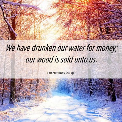 Picture 06 - Lamentations 5:4 KJV - We have drunken our water for money; our wood is - Bible Verse Picture