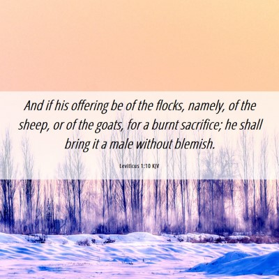 Picture 06 - Leviticus 1:10 KJV - And if his offering be of the flocks, namely, of - Bible Verse Picture
