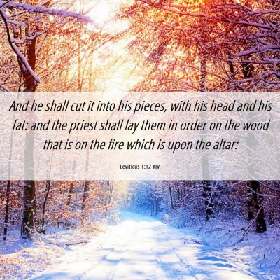 Picture 06 - Leviticus 1:12 KJV - And he shall cut it into his pieces, with his - Bible Verse Picture