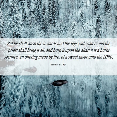 Picture 06 - Leviticus 1:13 KJV - But he shall wash the inwards and the legs with - Bible Verse Picture