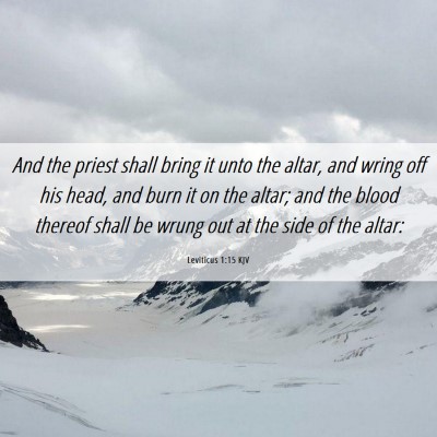 Picture 06 - Leviticus 1:15 KJV - And the priest shall bring it unto the altar, and - Bible Verse Picture