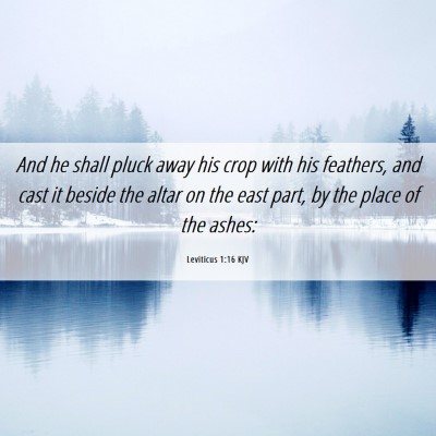 Picture 06 - Leviticus 1:16 KJV - And he shall pluck away his crop with his - Bible Verse Picture