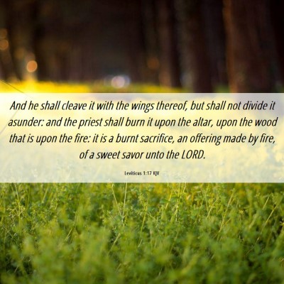 Picture 06 - Leviticus 1:17 KJV - And he shall cleave it with the wings thereof, - Bible Verse Picture