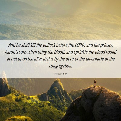 Picture 06 - Leviticus 1:5 KJV - And he shall kill the bullock before the LORD: - Bible Verse Picture