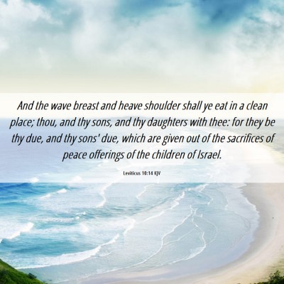 Picture 06 - Leviticus 10:14 KJV - And the wave breast and heave shoulder shall ye - Bible Verse Picture