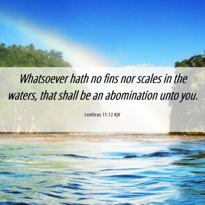 Picture 06 - Leviticus 11:12 KJV - Whatsoever hath no fins nor scales in the waters, - Bible Verse Picture