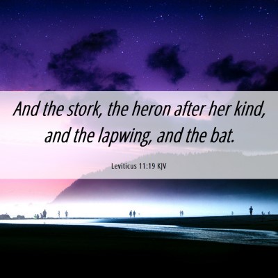 Picture 06 - Leviticus 11:19 KJV - And the stork, the heron after her kind, and the - Bible Verse Picture