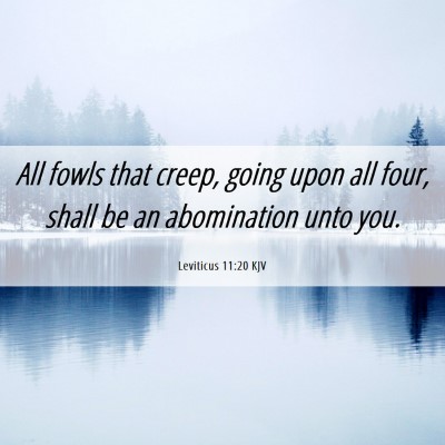 Picture 06 - Leviticus 11:20 KJV - All fowls that creep, going upon all four, shall - Bible Verse Picture