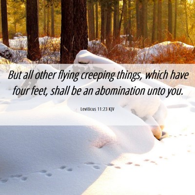 Picture 06 - Leviticus 11:23 KJV - But all other flying creeping things, which have - Bible Verse Picture