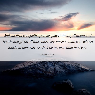 Picture 06 - Leviticus 11:27 KJV - And whatsoever goeth upon his paws, among all - Bible Verse Picture