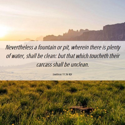 Picture 06 - Leviticus 11:36 KJV - Nevertheless a fountain or pit, wherein there is - Bible Verse Picture