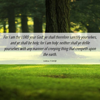Picture 06 - Leviticus 11:44 KJV - For I am the LORD your God: ye shall therefore - Bible Verse Picture