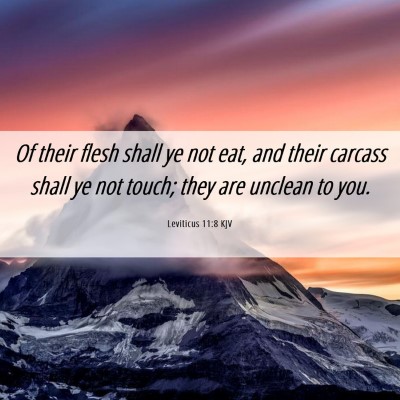 Picture 06 - Leviticus 11:8 KJV - Of their flesh shall ye not eat, and their - Bible Verse Picture