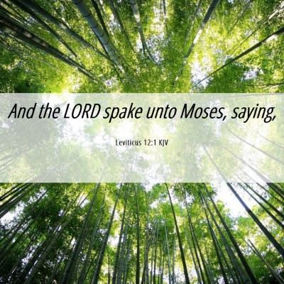 Picture 06 - Leviticus 12:1 KJV - And the LORD spake unto Moses, - Bible Verse Picture