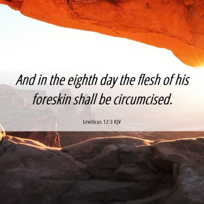 Picture 06 - Leviticus 12:3 KJV - And in the eighth day the flesh of his foreskin - Bible Verse Picture