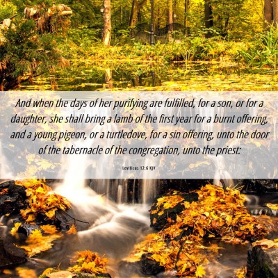 Picture 06 - Leviticus 12:6 KJV - And when the days of her purifying are fulfilled, - Bible Verse Picture