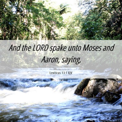 Picture 06 - Leviticus 13:1 KJV - And the LORD spake unto Moses and Aaron, - Bible Verse Picture