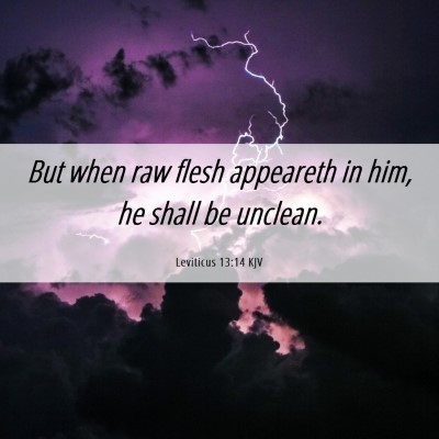 Picture 06 - Leviticus 13:14 KJV - But when raw flesh appeareth in him, he shall be - Bible Verse Picture