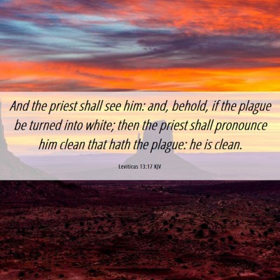 Picture 06 - Leviticus 13:17 KJV - And the priest shall see him: and, behold, if the - Bible Verse Picture