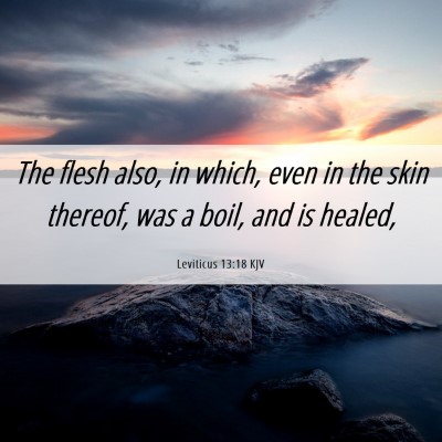 Picture 06 - Leviticus 13:18 KJV - The flesh also, in which, even in the skin - Bible Verse Picture