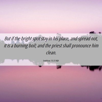 Picture 06 - Leviticus 13:23 KJV - But if the bright spot stay in his place, and - Bible Verse Picture