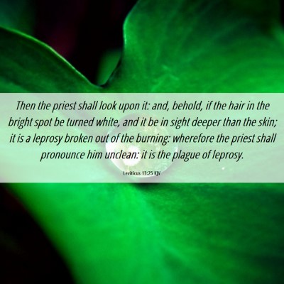 Picture 06 - Leviticus 13:25 KJV - Then the priest shall look upon it: and, behold, - Bible Verse Picture