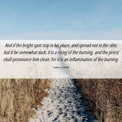 Picture 06 - Leviticus 13:28 KJV - And if the bright spot stay in his place, and - Bible Verse Picture