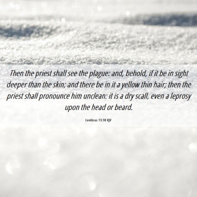 Picture 06 - Leviticus 13:30 KJV - Then the priest shall see the plague: and, - Bible Verse Picture